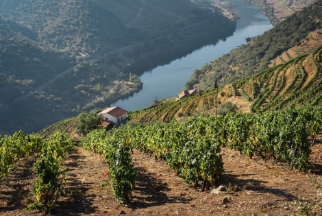 douro mau tempo vinha